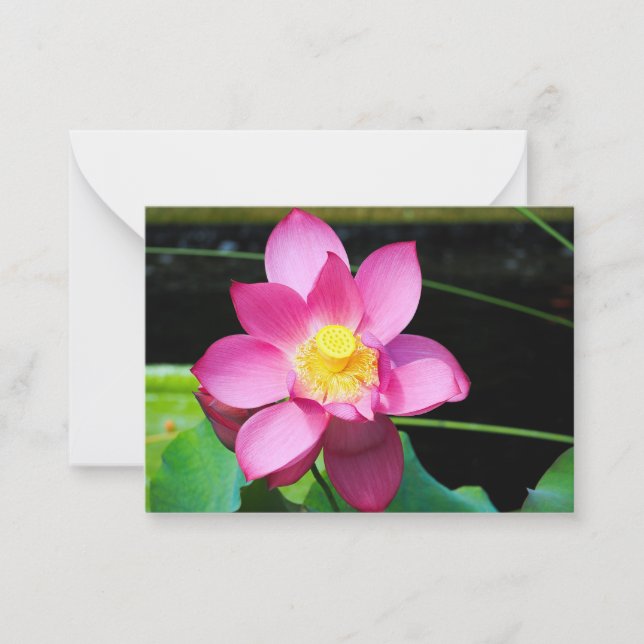 Hot Pink Lotus Flower Note Card (Front)