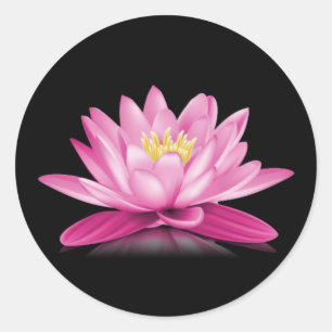 Hot pink lotus flower on black background classic round sticker