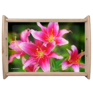 Hot Pink Olympic Torch Lilies Serving Tray