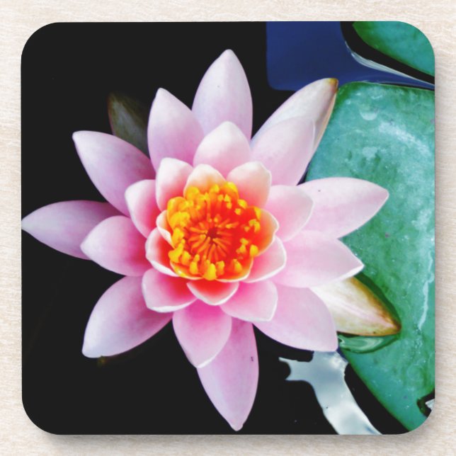 Hot Pink & orange lotus water lily flower Beverage Coaster (Front)