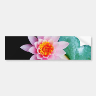 Hot Pink & orange lotus water lily flower Bumper Sticker