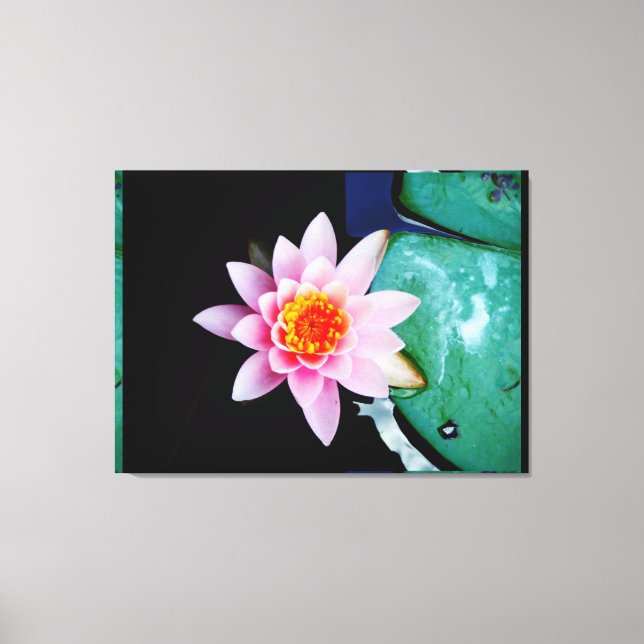 Hot Pink & orange lotus water lily flower Canvas Print (Front)