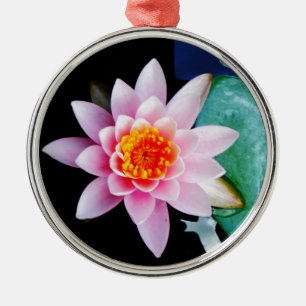 Hot Pink & orange lotus water lily flower Metal Ornament