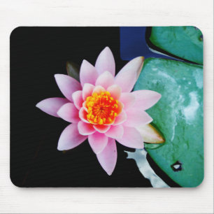 Hot Pink & orange lotus water lily flower Mouse Pad