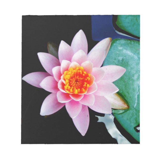 Hot Pink & orange lotus water lily flower Notepad (Front)