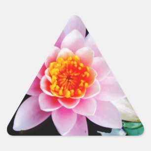 Hot Pink & orange lotus water lily flower Triangle Sticker
