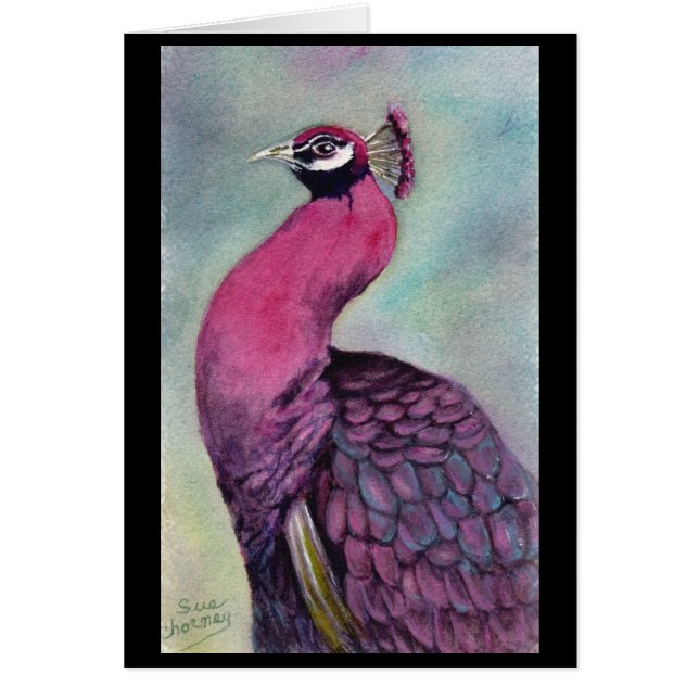 HOT PINK PEACOCK CARDS (Front)