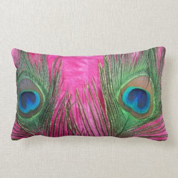 Hot Pink Peacock Feathers Lumbar Pillow by Peacocks at Zazzle