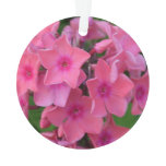 Hot Pink Phlox Flowers Ornament