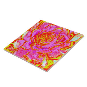 Hot Pink, Red and Yellow Succulent Sedum Rosette Ceramic Tile