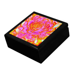 Hot Pink, Red and Yellow Succulent Sedum Rosette Gift Box