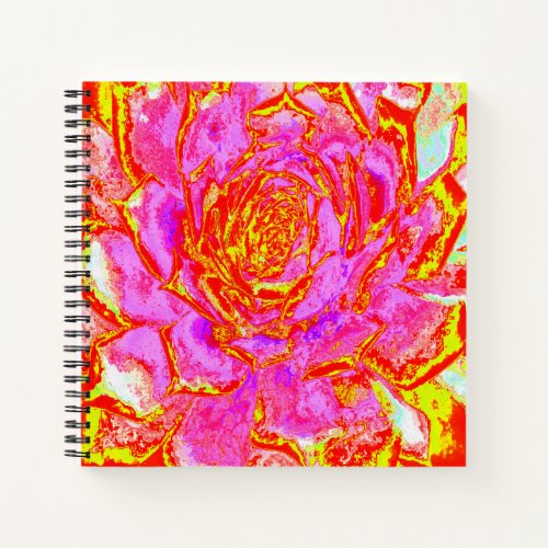 Hot Pink Red and Yellow Succulent Sedum Rosette Notebook