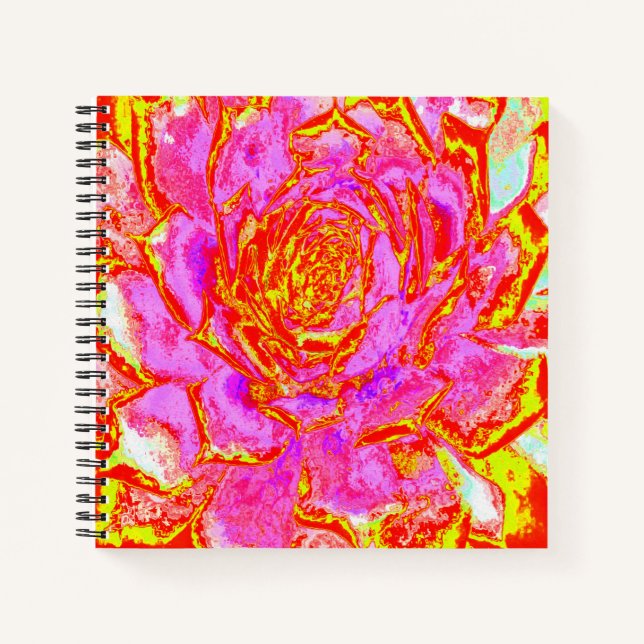 Hot Pink, Red and Yellow Succulent Sedum Rosette Notebook (Front)