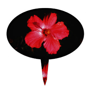 Hot Pink Red Hibiscus flower on Black Cake Topper