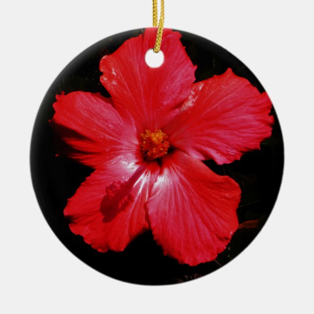 Hot Pink Red Hibiscus flower on Black Ceramic Ornament (Front)