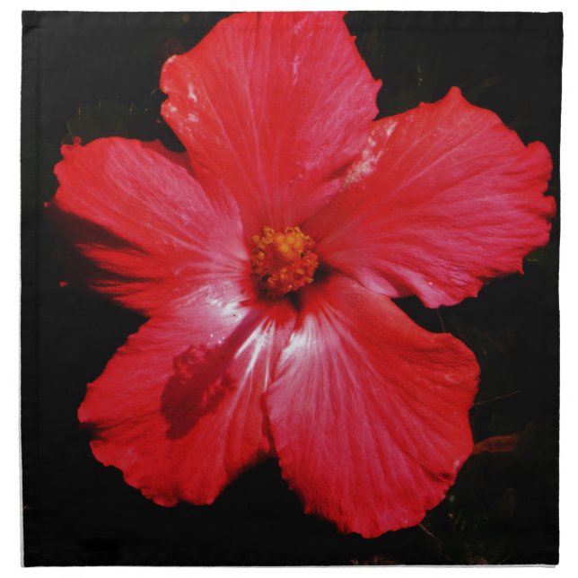 Hot Pink Red Hibiscus flower on Black Cloth Napkin (Front)