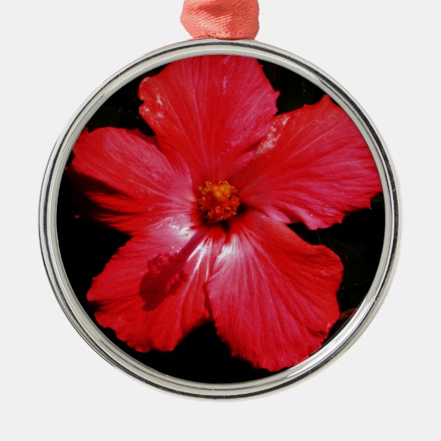Hot Pink Red Hibiscus flower on Black Metal Ornament (Front)