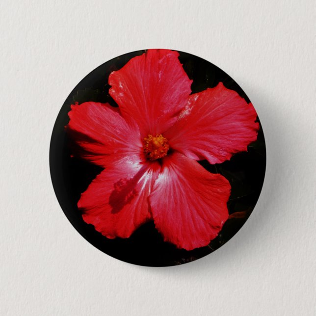 Hot Pink Red Hibiscus flower on Black Pinback Button (Front)