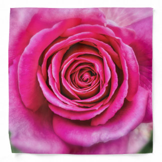 Hot Pink Rose Bandana