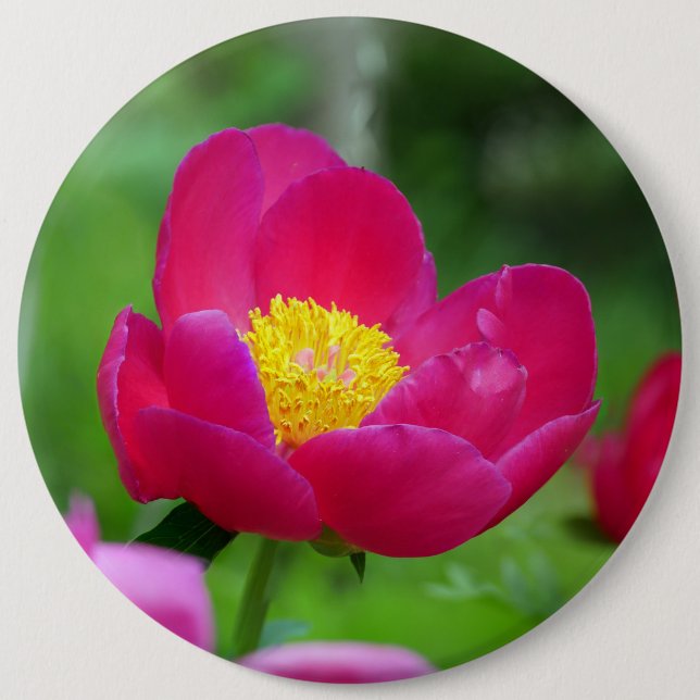 Hot Pink Rose Button (Front)