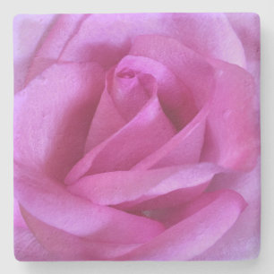 Hot pink rose flower bold simple chic photography stone coaster