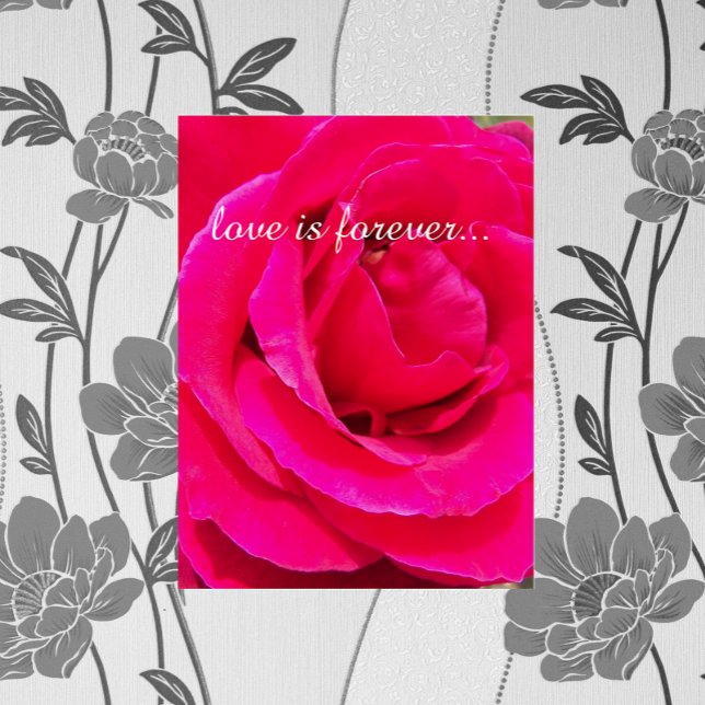 Hot Pink Rose Personalized Marriage Proposal Card (In Situ)
