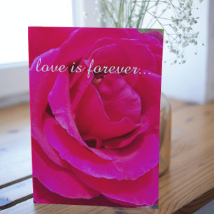Hot Pink Rose Personalized Marriage Proposal Card