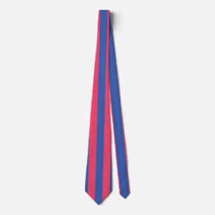 Hot Pink & Royal Blue Bold Vertical Stripes Neck Tie