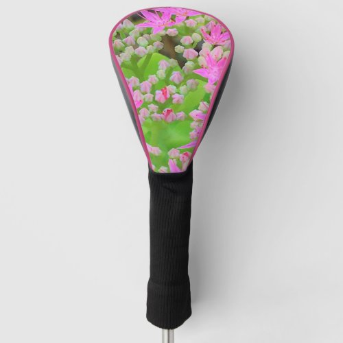 Hot Pink Succulent Sedum with Fleshy Green Leaves Golf Head Cover