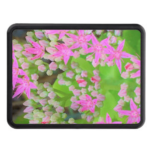 Hot Pink Succulent Sedum with Fleshy Green Leaves Hitch Cover
