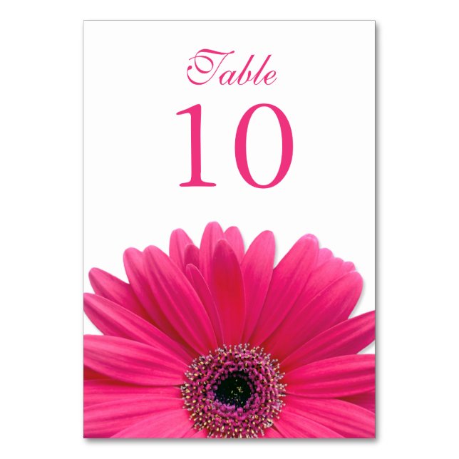 Hot Pink White Gerbera Daisy Wedding Table Number (Front)