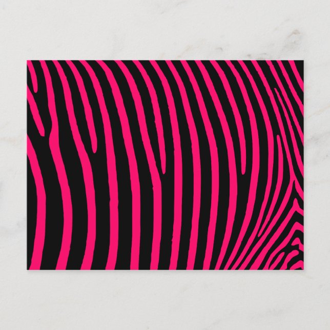 Hot Pink Zebra Stripes Postcard (Front)