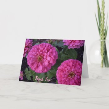Hot Pink Zinnia- Thank You by llaureti at Zazzle