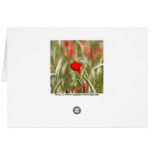 Hot Poppy Acrylic Painting (Back Horizontal)