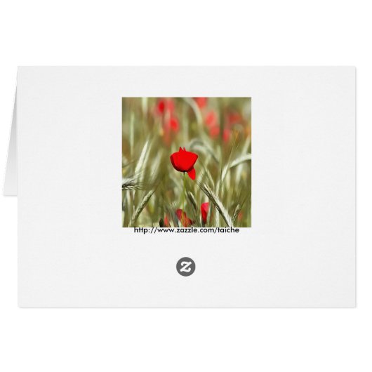 Hot Poppy Acrylic Painting (Back Horizontal)