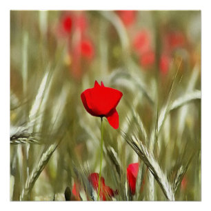Hot Poppy Acrylic Painting Poster