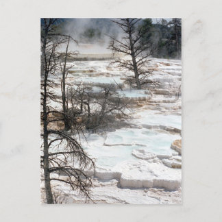Hot Springs in New Zealand Postcard
