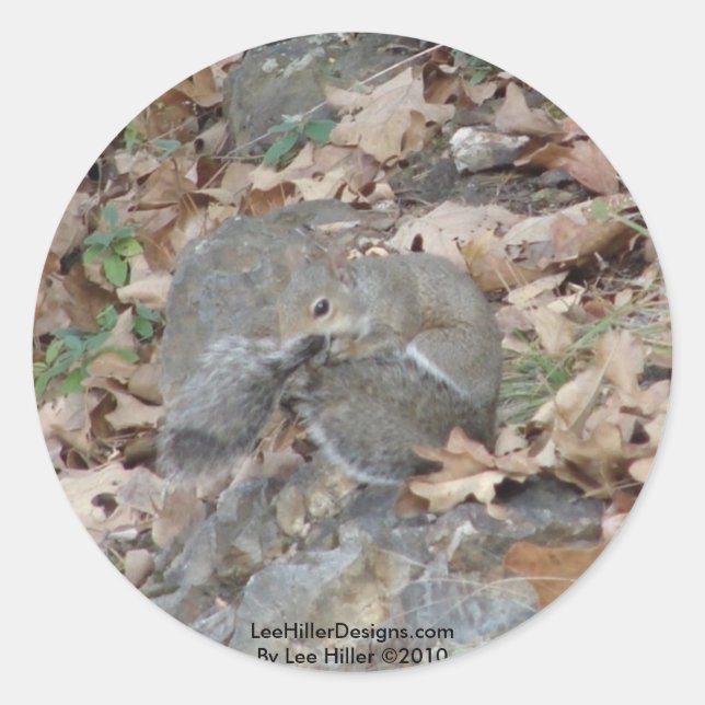 Hot Springs Mountain, AR Squirrel Camouflage Gifts Classic Round Sticker (Front)