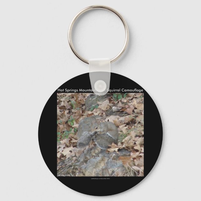 Hot Springs Mountain, AR Squirrel Camouflage Gifts Keychain (Front)