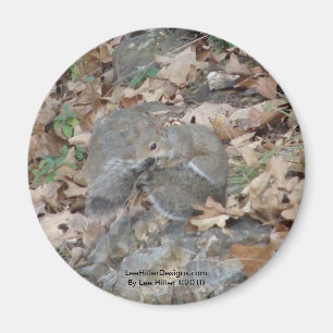 Hot Springs Mountain, AR Squirrel Camouflage Gifts Magnet