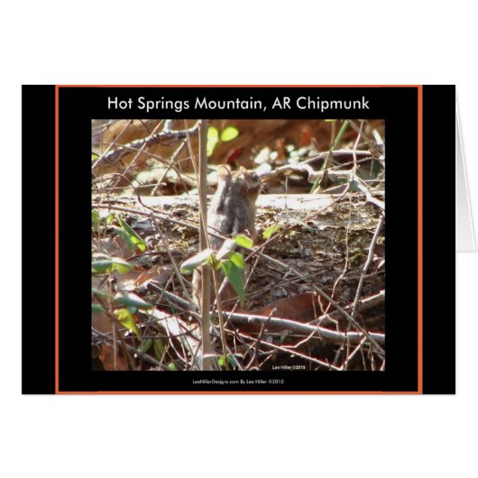 Hot Springs Mountain, Arkansas Chipmunk Gifts (Front Horizontal)
