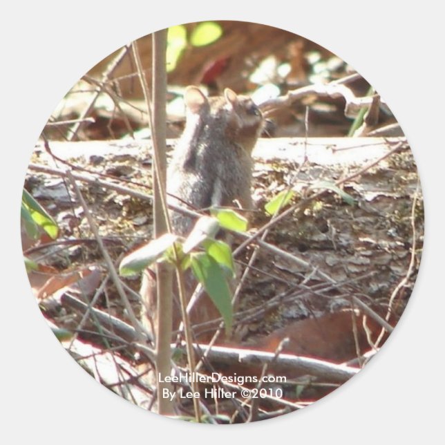 Hot Springs Mountain, Arkansas Chipmunk Gifts Classic Round Sticker (Front)