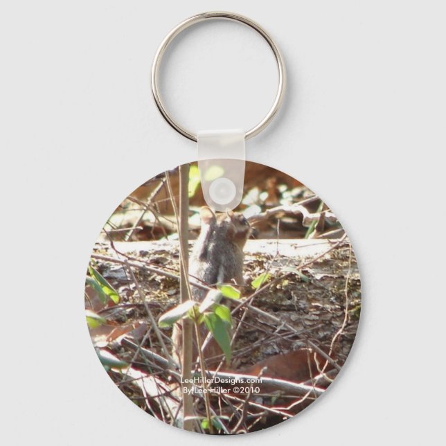 Hot Springs Mountain, Arkansas Chipmunk Gifts Keychain (Front)