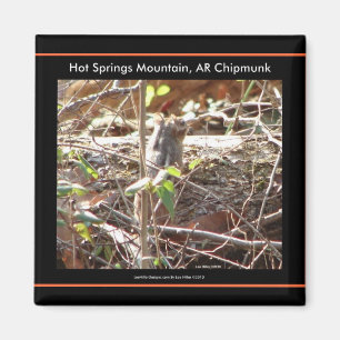 Hot Springs Mountain, Arkansas Chipmunk Gifts Magnet