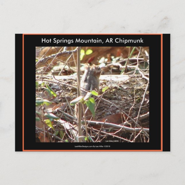Hot Springs Mountain, Arkansas Chipmunk Gifts Postcard (Front)