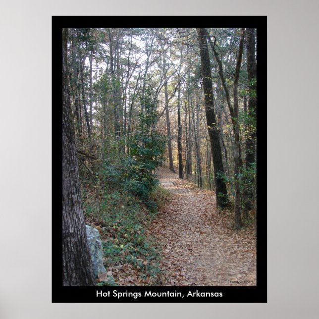 Hot Springs Mountain Arkansas Path Large Print (Front)