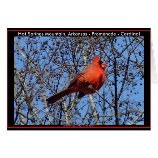 Hot Springs Mountain Promenade  Cardinal Gifts (Front Horizontal)