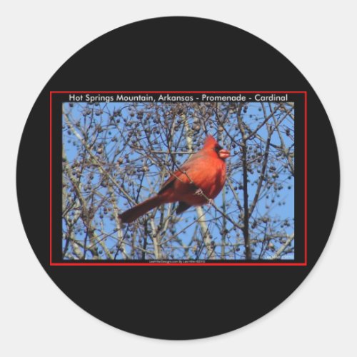 Hot Springs Mountain Promenade  Cardinal Gifts Classic Round Sticker