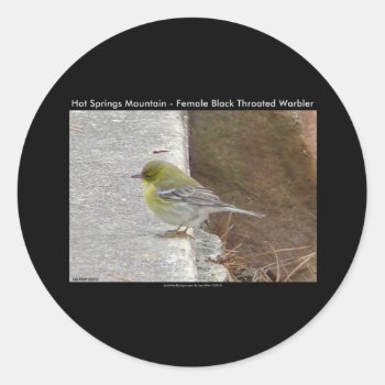 Hot Springs Mt Female Black Throated Warbler Gifts Classic Round Sticker by leehillerloveadvice at Zazzle