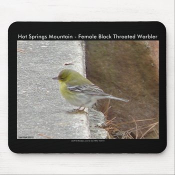 Hot Springs Mt Female Black Throated Warbler Gifts Mouse Pad by leehillerloveadvice at Zazzle